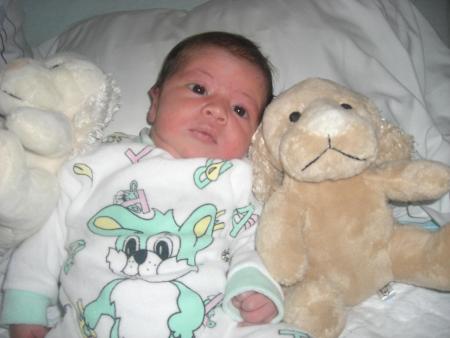 adam mon ptit neveu
